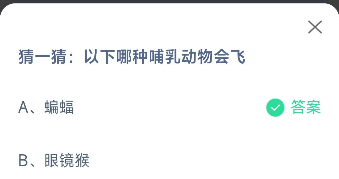 《支付宝》哪种哺乳动物会飞12月27日最新答案