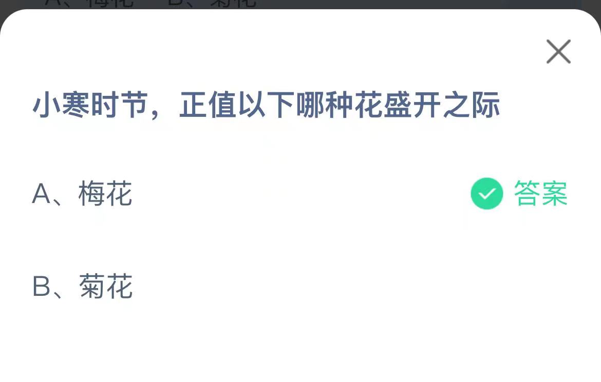 《支付宝》小寒时节哪种花盛开之际2023年1月5日最新答案