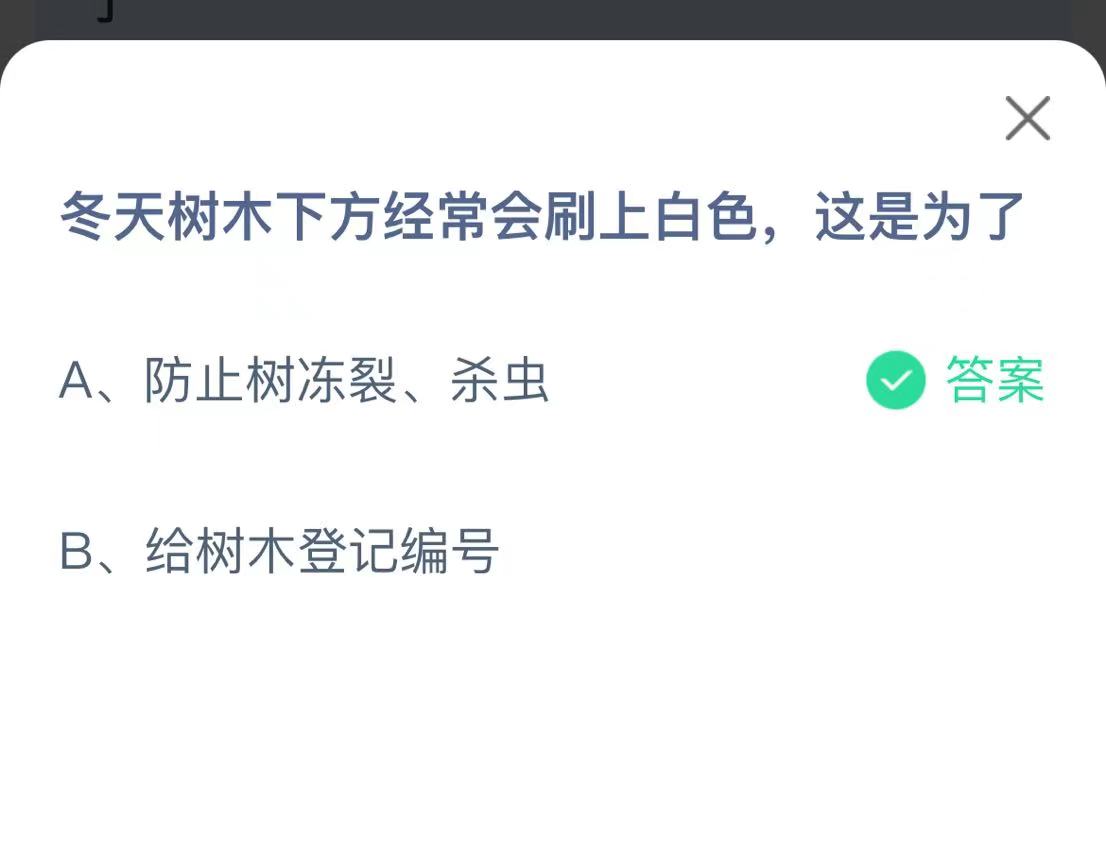 《支付宝》冬天树木下方刷上白色2023年1月9日最新答案