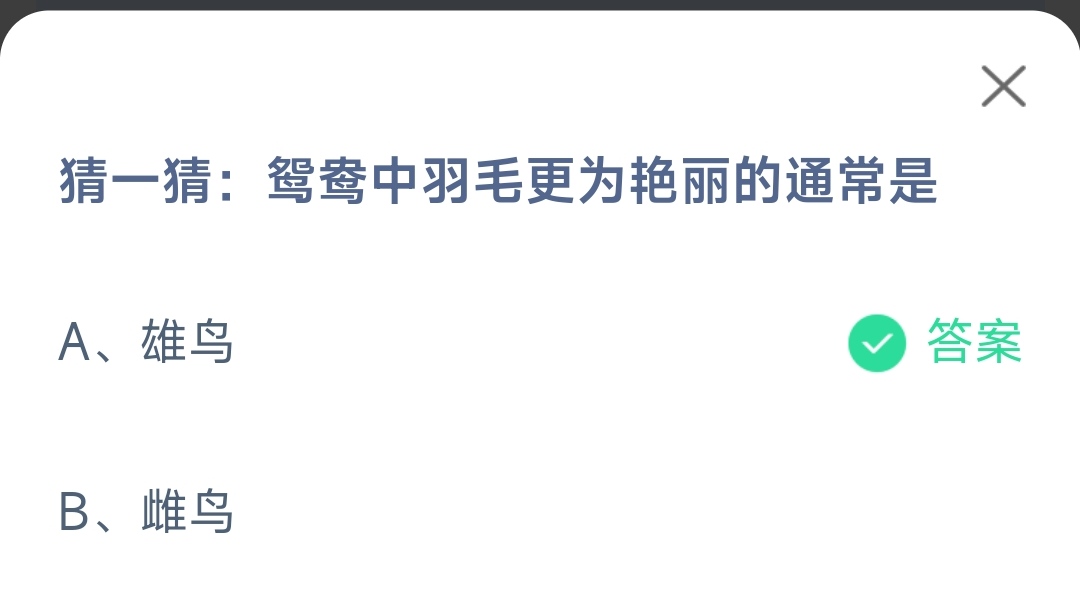 《支付宝》鸳鸯中羽毛更为艳丽是2023年2月16日最新答案