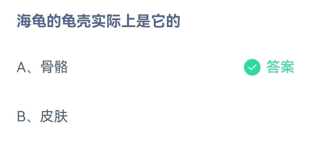 《支付宝》海龟的龟壳实际上是2023年3月2日最新答案