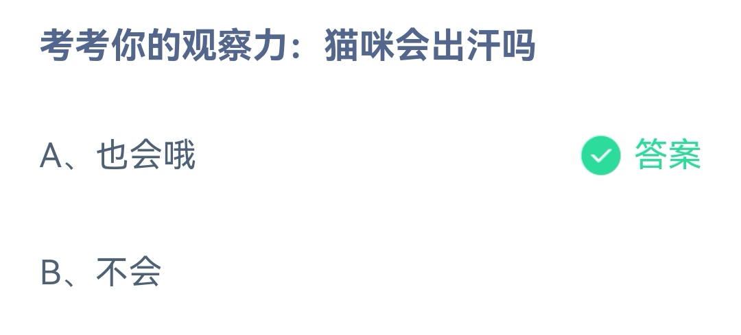 《支付宝》猫咪会出汗2023年3月3日最新答案