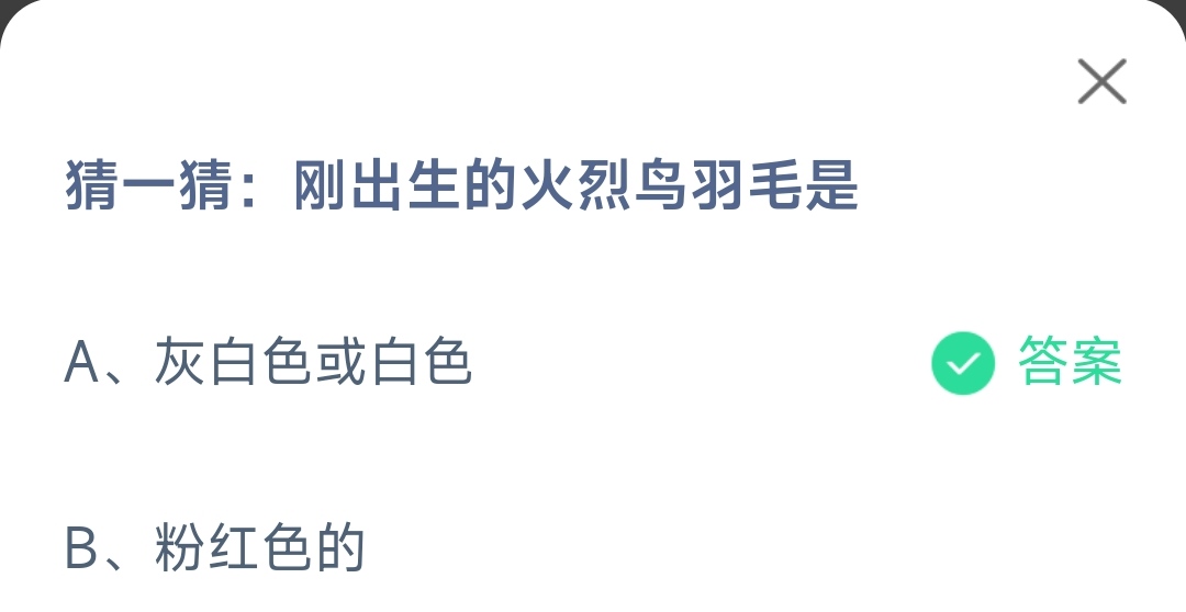 《支付宝》刚出生的火烈鸟羽毛2023年3月17日最新答案