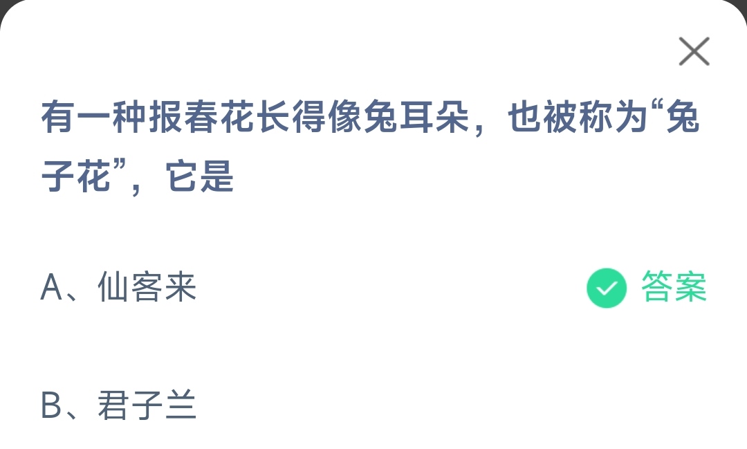 《支付宝》报春花长得像兔耳朵也被称为兔子花2023年3月18日最新答案