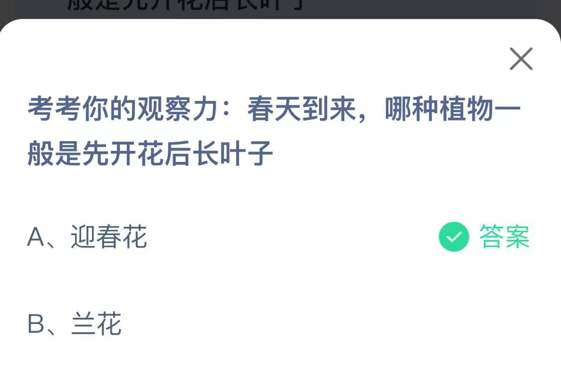 《支付宝》哪种植物一般是先开花后长叶子2023年3月25日最新答案