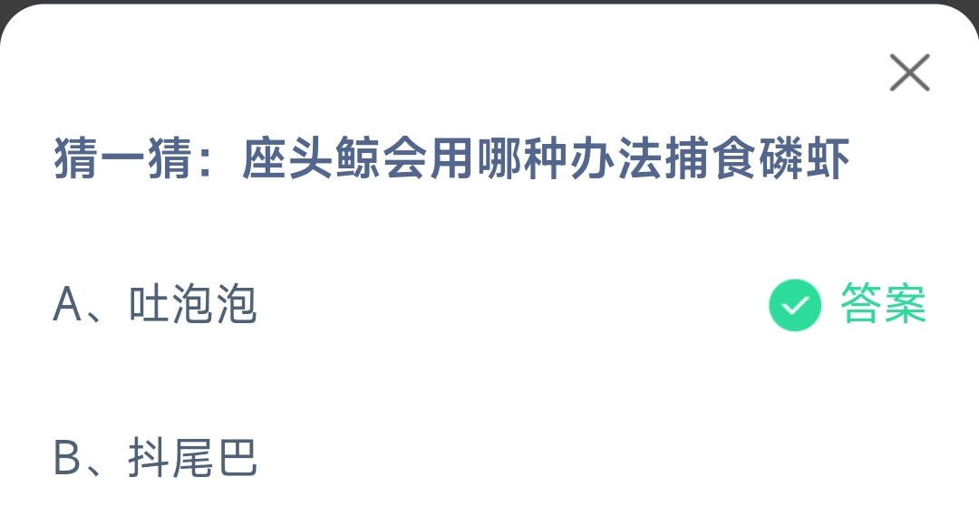 《支付宝》座头鲸会用哪种办法捕食磷虾2023年4月11日最新答案