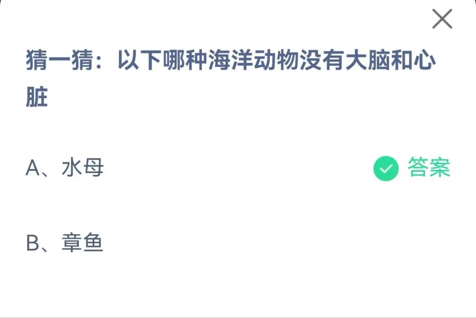 《支付宝》哪种海洋动物没有大脑和心脏2023年4月12日最新答案