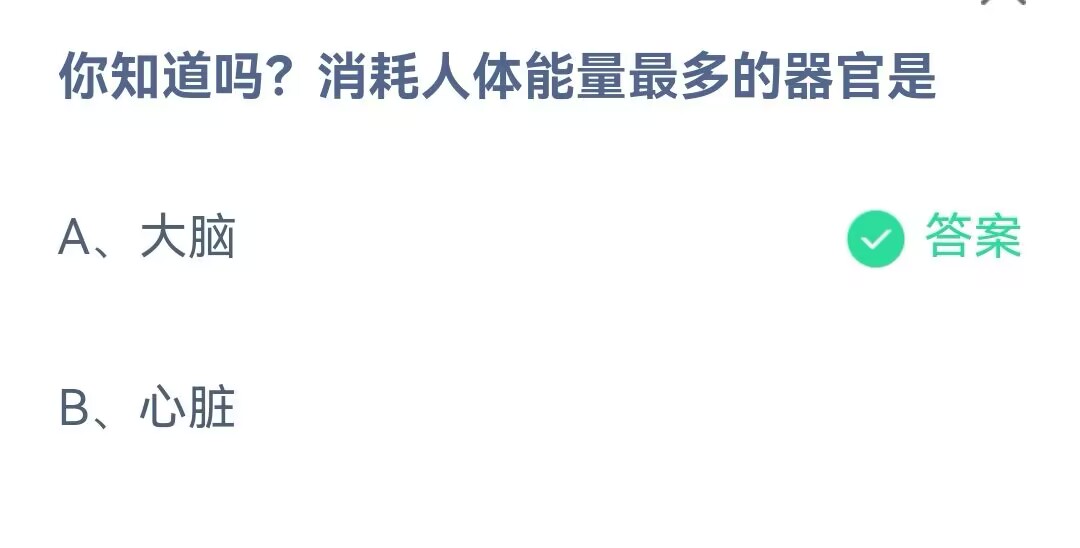 《支付宝》消耗人体能量最多的器官2023年4月19日最新答案