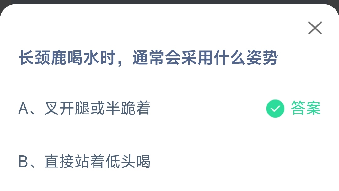 《支付宝》长颈鹿喝水采用什么姿势2023年5月17日最新答案