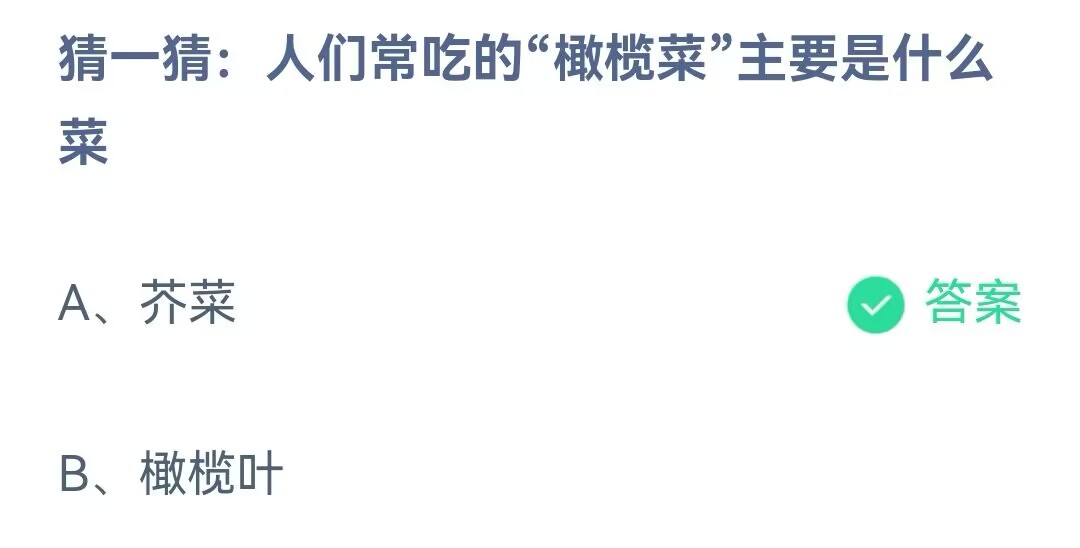 《支付宝》橄榄菜主要是什么菜2023年5月22日最新答案