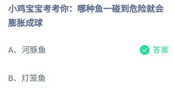 《支付宝》哪种鱼碰到危险就会膨胀成球2023年5月25日最新答案