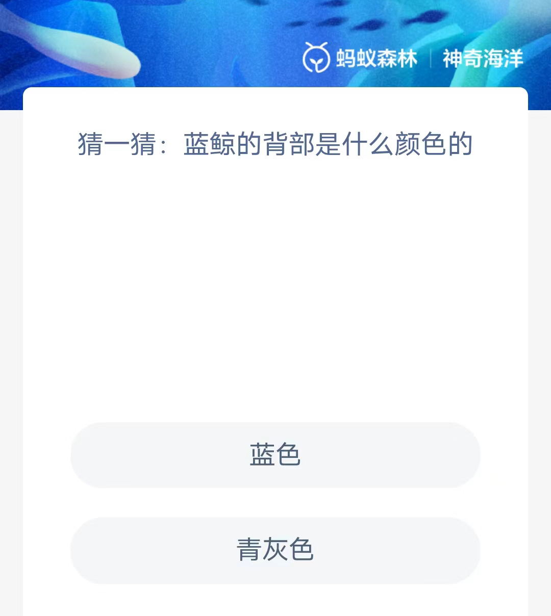 《支付宝》2023年5月26日神奇海洋科普最新答案