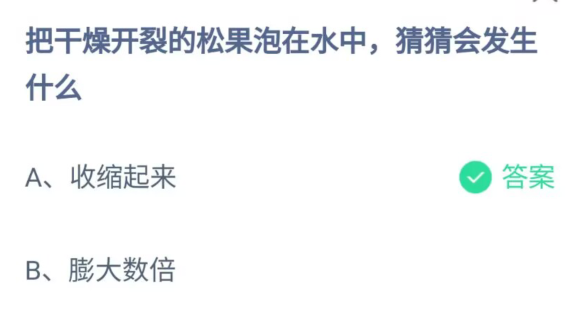 《支付宝》把干燥开裂的松果泡在水中2023年6月3日最新答案