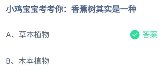 《支付宝》香蕉树其实是一种2023年6月30日最新答案