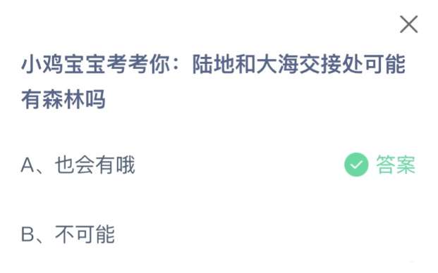 《支付宝》陆地和大海交接处可能有森林2023年7月5日最新答案