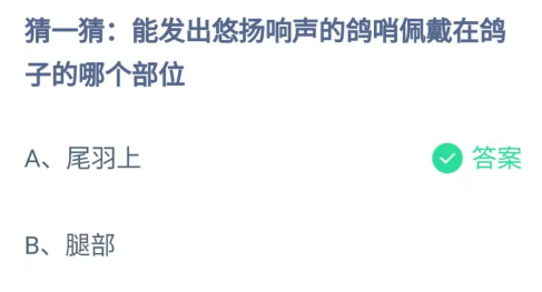 《支付宝》发出悠扬响声的鸽哨佩戴在鸽子的哪个部位2023年7月26日最新答案