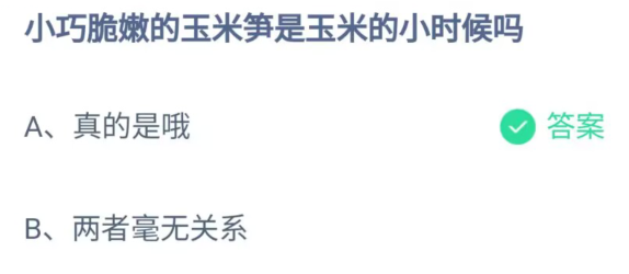 《支付宝》小巧脆嫩的玉米笋是玉米的小时候2023年7月31日最新答案