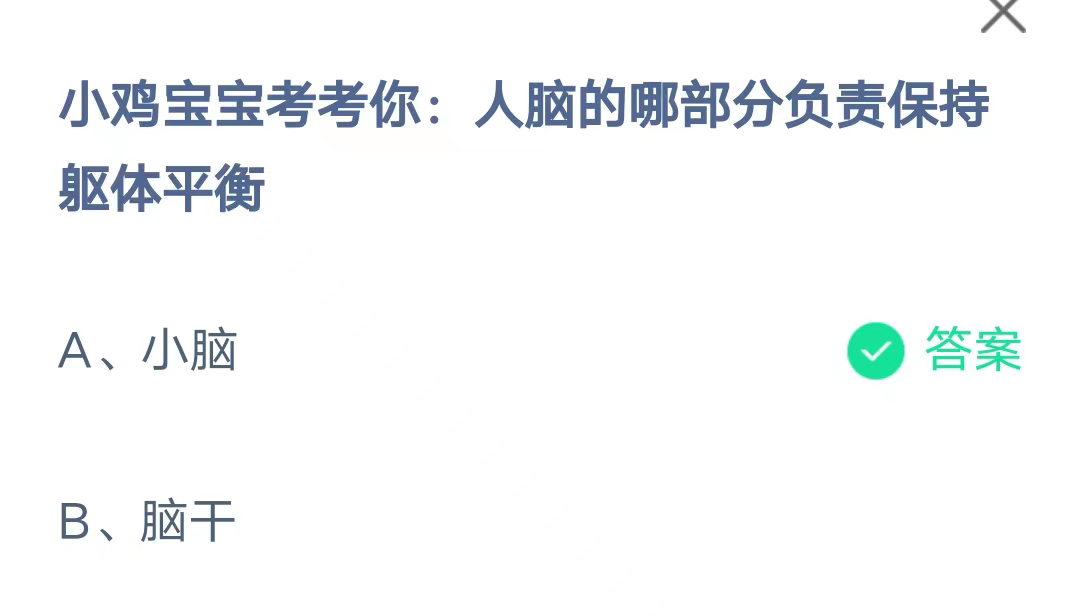 《支付宝》人脑的哪部分负责保持躯体平衡2023年8月3日最新答案