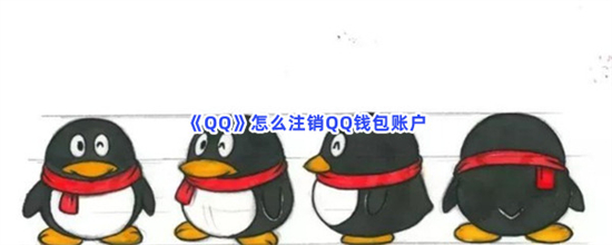 《QQ》注销QQ钱包攻略教程