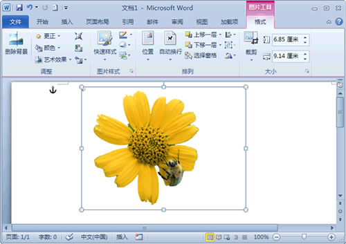 《word2010》如何去除图片背景