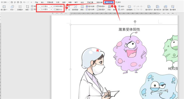 《Word》怎样插图不超出边框