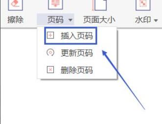 《极光PDF阅读器》如何给文档插入页码