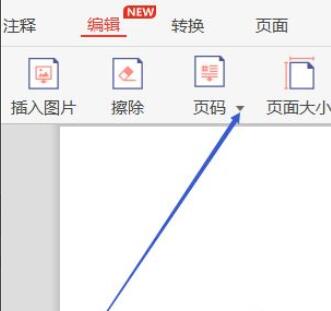 《极光PDF阅读器》如何给文档插入页码