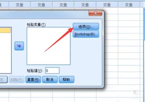 SPSS怎样进行T检验