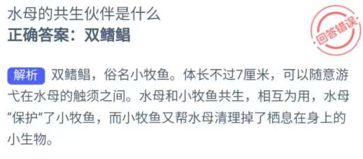 《支付宝》神奇海洋8月28日答案最新