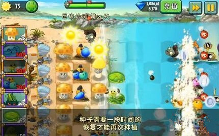 《植物大战僵尸2》巨浪沙滩第二十四天攻略